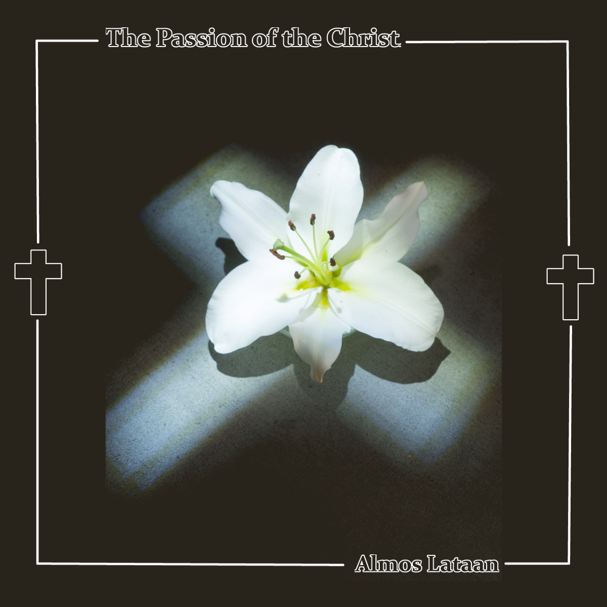 a picture of a lily on a cross of light.