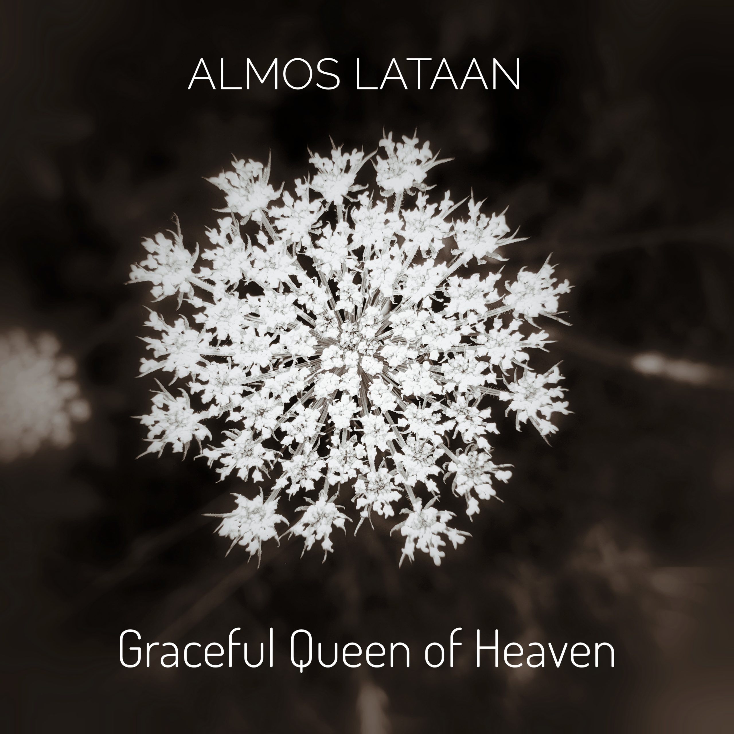 Queen of Heaven – Hymn